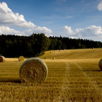 ***