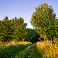 Večerní krajina 