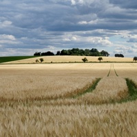 Haná II.