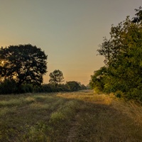 Horký podvečer