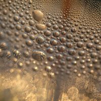 Offka
