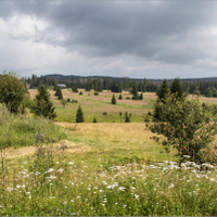 Šumava VII