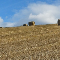 Balíkovka