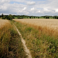 Cestička 