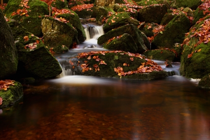 Obraz Lesní vodopád